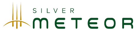 Silver Meteor Tathawade Logo Image